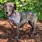 Entry image for Maddie