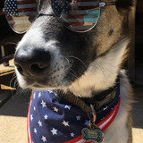 Entry image for Legolas