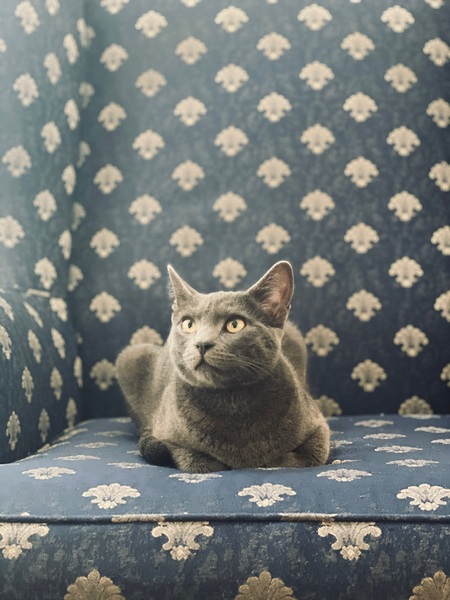 Entry image for Machine . Clicking this image will show a larger photo