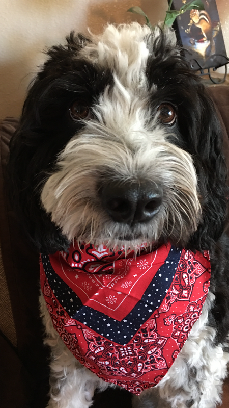 Entry image for Charlie. Clicking this image will show a larger photo