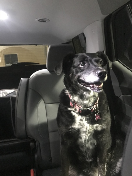 Entry image for Mulligan. Clicking this image will show a larger photo