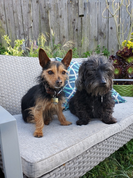 Entry image for Gunther and Uncle Peewee . Clicking this image will show a larger photo