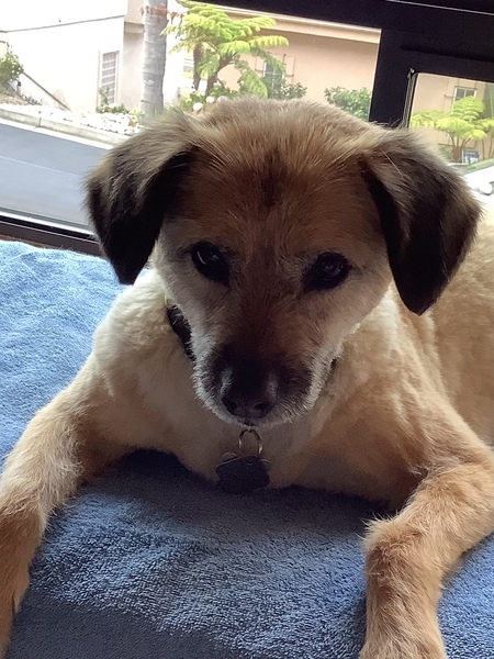 Entry image for Zoeyann. Clicking this image will show a larger photo