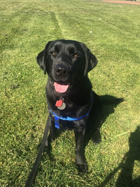 Entry image for Miette. Clicking this image will show a larger photo