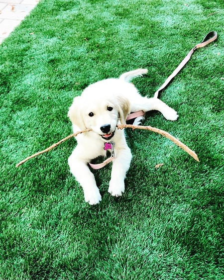 Entry image for Tori Jean Allen. Clicking this image will show a larger photo