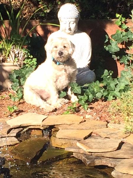 Entry image for Kyley. Clicking this image will show a larger photo