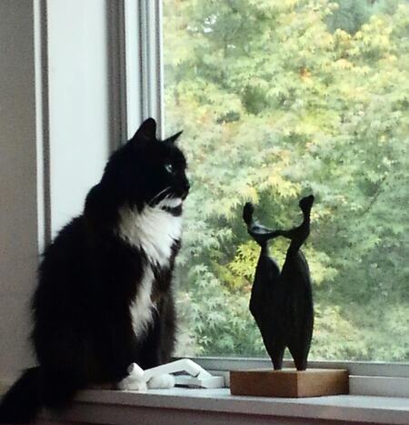 Entry image for Cosmo. Clicking this image will show a larger photo