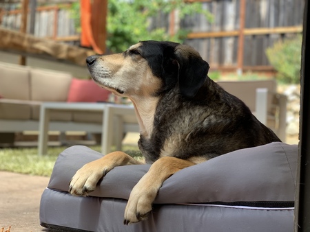 Entry image for Marleau. Clicking this image will show a larger photo