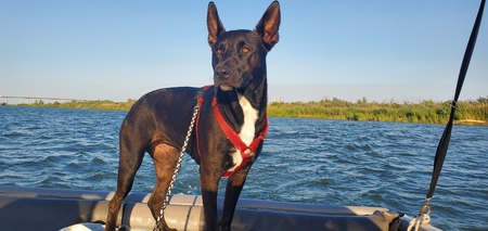 Entry image for Roo Wilcox. Clicking this image will show a larger photo