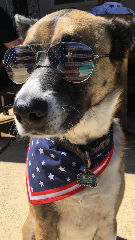 Entry image for Legolas. Clicking this image will show a larger photo