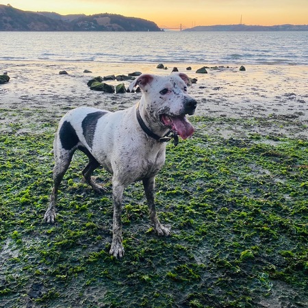 Entry image for Katie. Clicking this image will show a larger photo