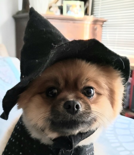 Abby