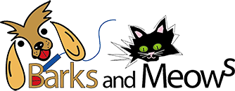 Logo for 2nd Annual Calendar Photo Contest