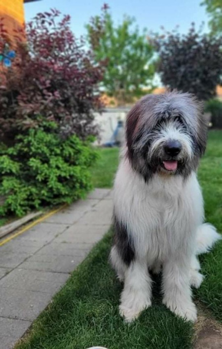 Entry image for Max. Clicking this image will show a larger photo