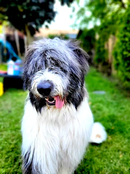 Entry image for Max. Clicking this image will show a larger photo