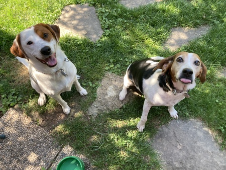 Entry image for Genny and Luna. Clicking this image will show a larger photo