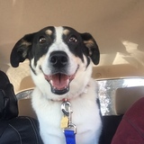 Entry image for Hannah