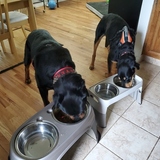 Entry image for Ryen and Kodi