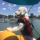 Entry image for Hallie