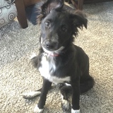 Entry image for Hana