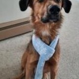 Entry image for Charlemagne