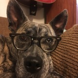 Entry image for Juno