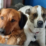 Entry image for Charlemagne & Marla