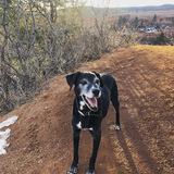 Entry image for TEGO