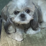 Entry image for Missy