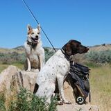 Entry image for Rudy & Walter