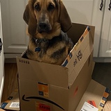 Entry image for Puddin’