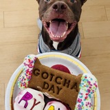 Entry image for Ryan