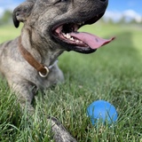 Entry image for Avery