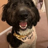 Entry image for Maisy