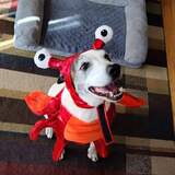 Entry image for Mikey