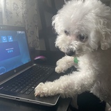 Entry image for PETE