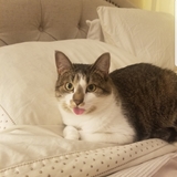 Entry image for Bonnie