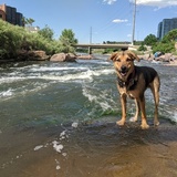 Entry image for Bucky