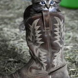 Entry image for Neville