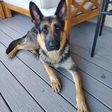 Entry image for Kasha