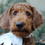 Entry image for Snicker