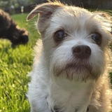 Entry image for Mädchen