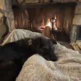 Entry image for Dieter