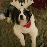 Entry image for Popeye