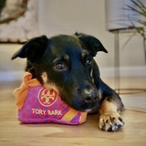 Entry image for Molly