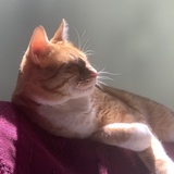 Entry image for Aidan