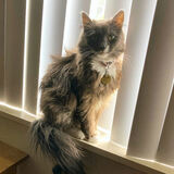 Entry image for Mabel May