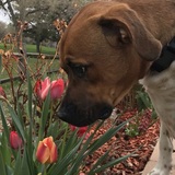 Entry image for Cooper