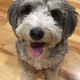 Entry image for Milicent 