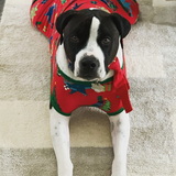 Entry image for Walter